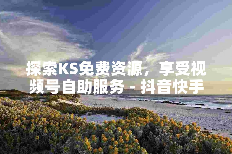 探索KS免费资源，享受视频号自助服务 - 抖音快手24小时在线支持，揭秘低价业务下单的独家技巧。