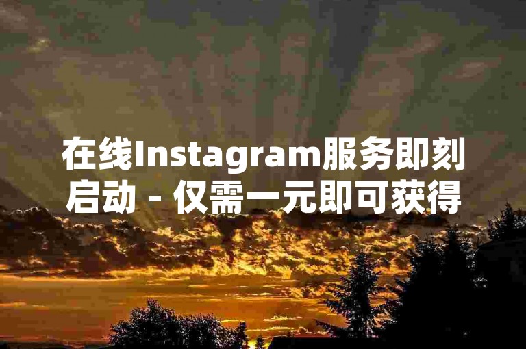 在线Instagram服务即刻启动 - 仅需一元即可获得100个赞。