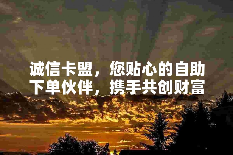 诚信卡盟，您贴心的自助下单伙伴，携手共创财富未来，便捷服务触手可及。