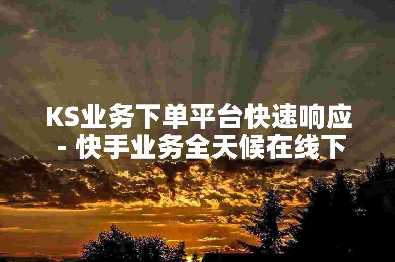 KS业务下单平台快速响应 - 快手业务全天候在线下单微信支付。