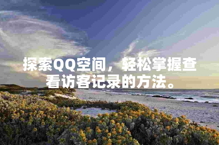探索QQ空间，轻松掌握查看访客记录的方法。