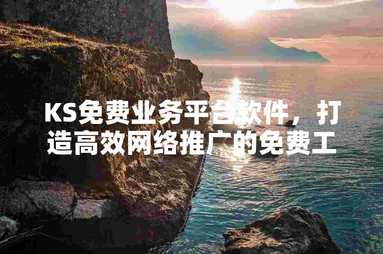 KS免费业务平台软件，打造高效网络推广的免费工具