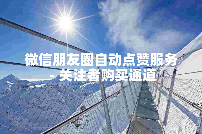 微信朋友圈自动点赞服务 - 关注者购买通道