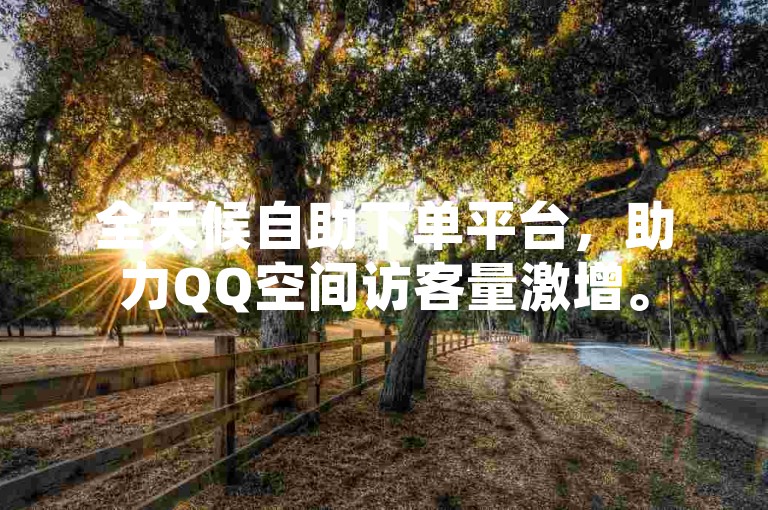 全天候自助下单平台，助力QQ空间访客量激增。