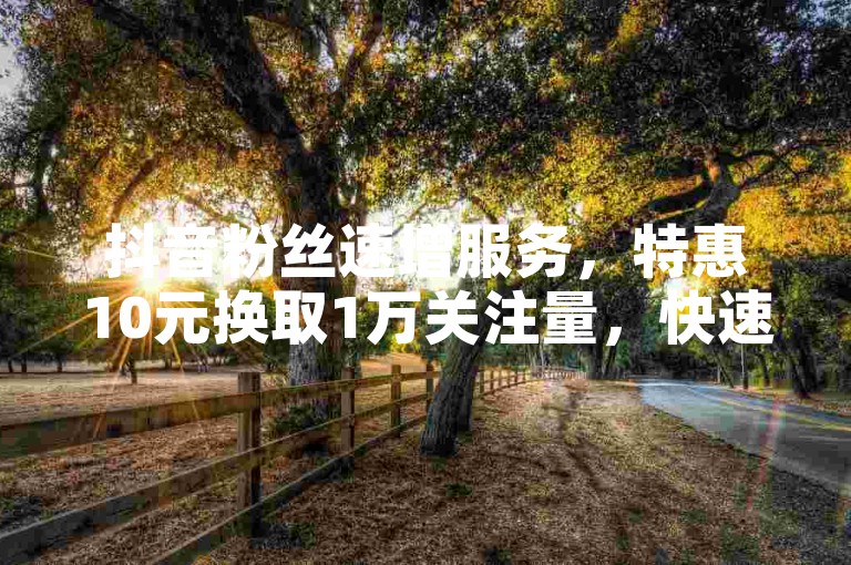 抖音粉丝速增服务，特惠10元换取1万关注量，快速提升人气的优选平台。