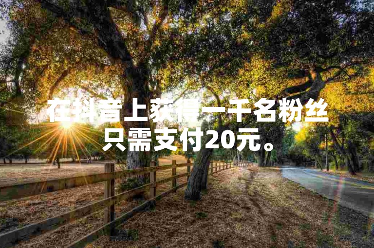 在抖音上获得一千名粉丝只需支付20元。