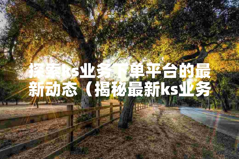 探索ks业务下单平台的最新动态（揭秘最新ks业务下单平台的独到之处）。