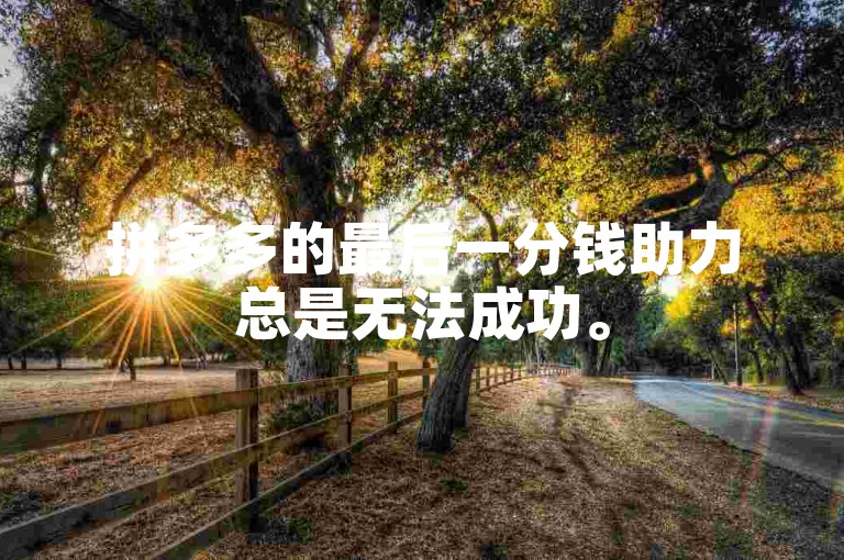 拼多多的最后一分钱助力总是无法成功。