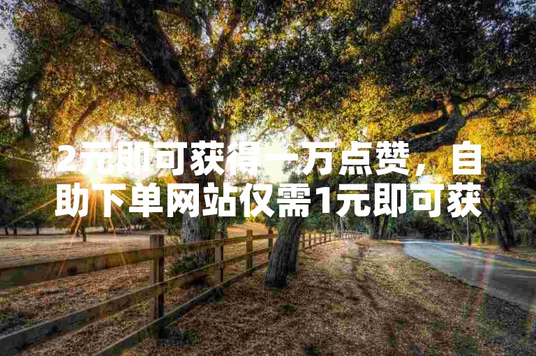 2元即可获得一万点赞，自助下单网站仅需1元即可获得100赞。