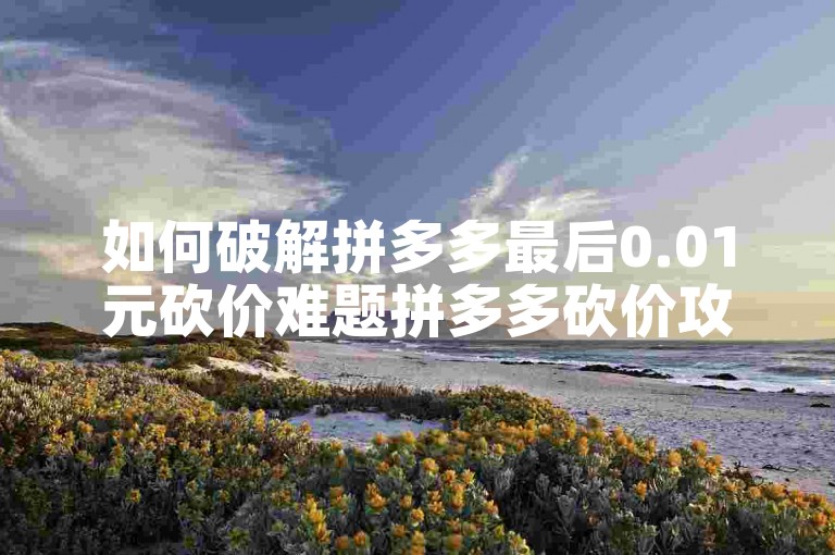 如何破解拼多多最后0.01元砍价难题拼多多砍价攻略