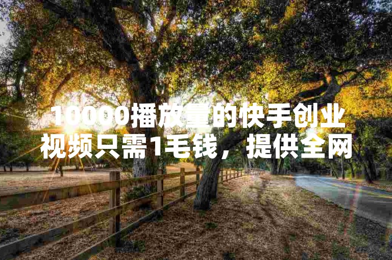 10000播放量的快手创业视频只需1毛钱，提供全网最低价的快手业务平台服务，包括抖币充值优惠及免费粉丝增长方案。