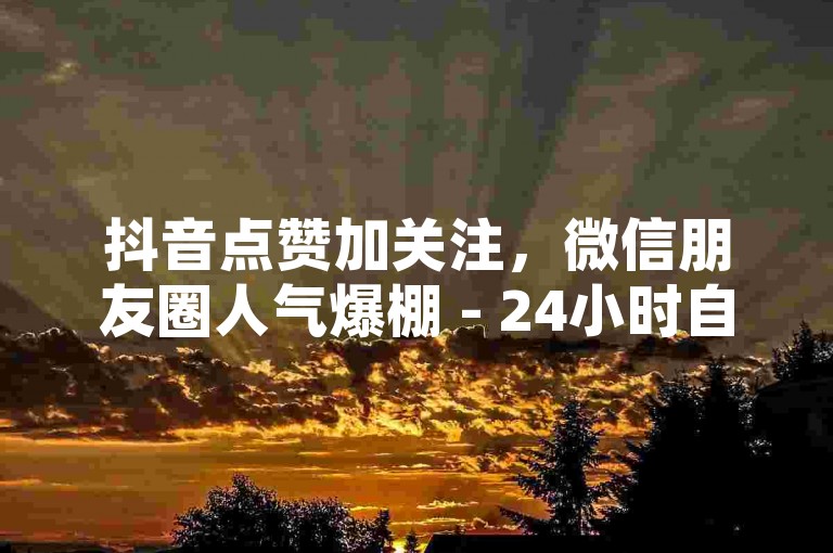 抖音点赞加关注，微信朋友圈人气爆棚 - 24小时自助服务 - 网络服务平台信誉榜首。