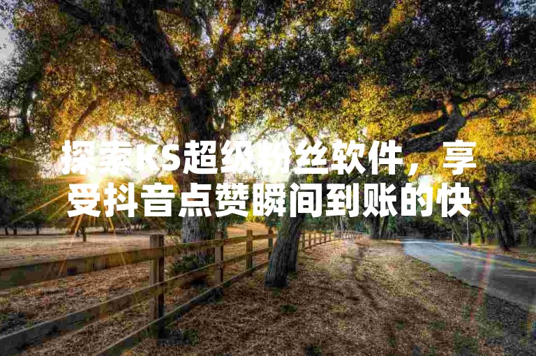 探索KS超级粉丝软件，享受抖音点赞瞬间到账的快感 - 免费获取双击 - 体验24小时不间断的低价秒单服务，惊喜连连！