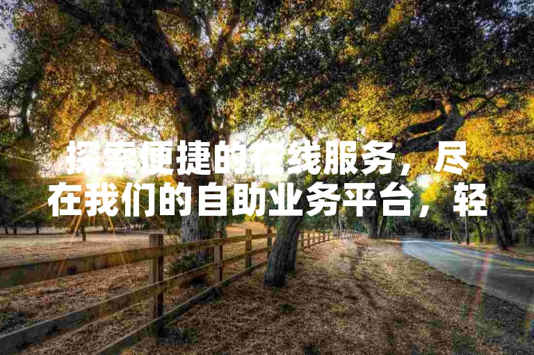探索便捷的在线服务，尽在我们的自助业务平台，轻松下单，快速响应。