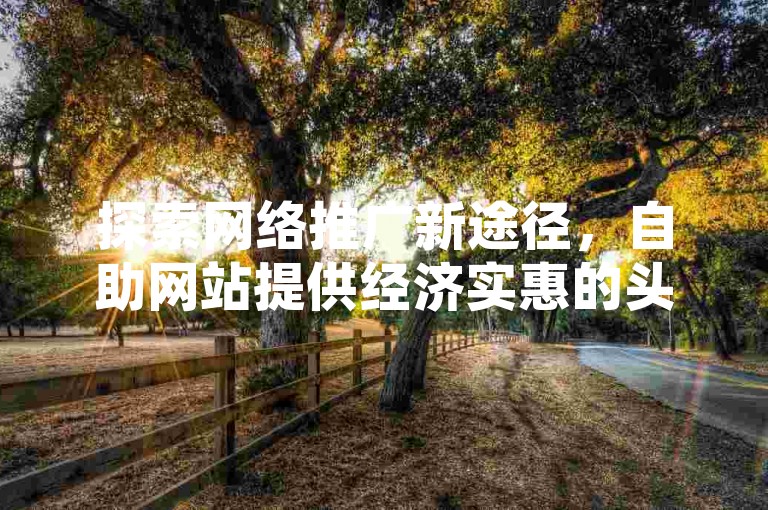 探索网络推广新途径，自助网站提供经济实惠的头条粉丝增长服务。