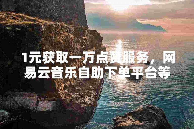 1元获取一万点赞服务，网易云音乐自助下单平台等你来体验。