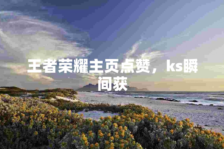王者荣耀主页点赞，ks瞬间获5000赞下载。