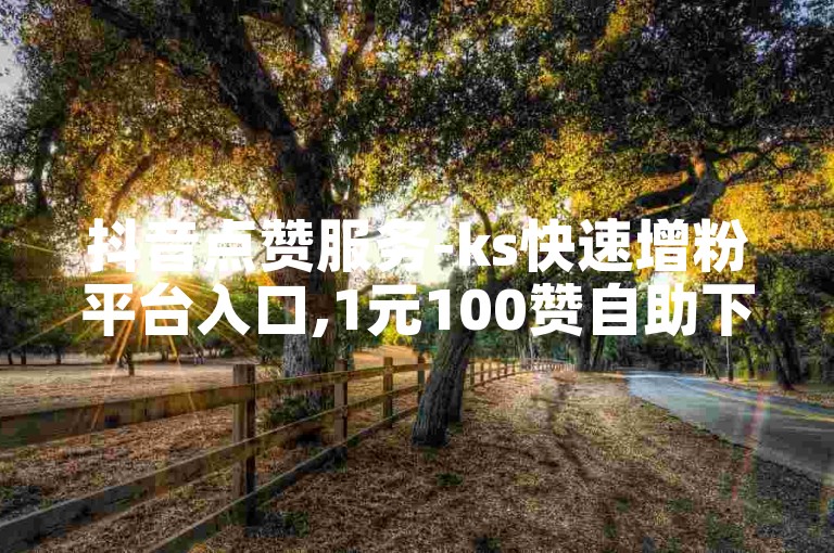 抖音点赞服务-ks快速增粉平台入口,1元100赞自助下单网站