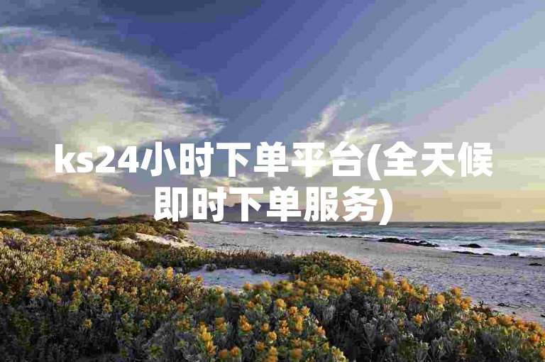 ks24小时下单平台(全天候即时下单服务)