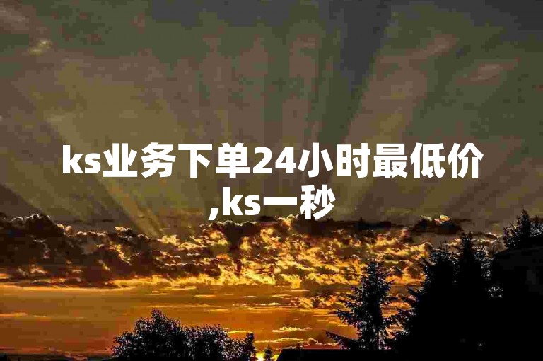 ks业务下单24小时最低价,ks一秒5000赞下载