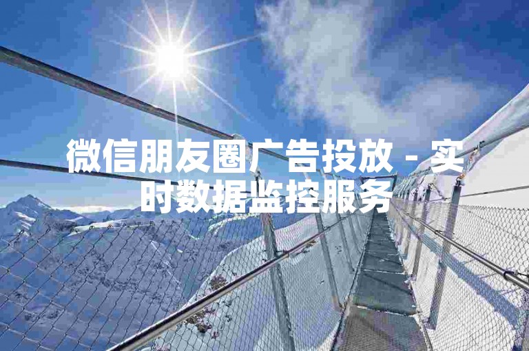 微信朋友圈广告投放 - 实时数据监控服务