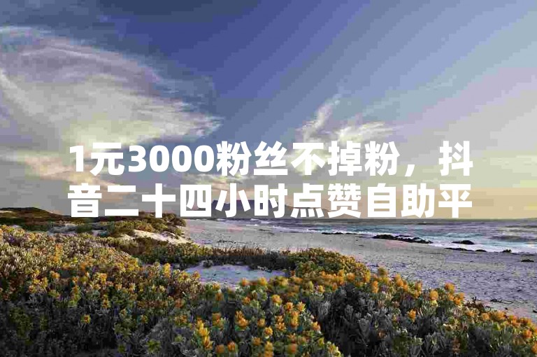 1元3000粉丝不掉粉，抖音二十四小时点赞自助平台 - 快手业务网站 - 快手全网最低价震撼爆料。