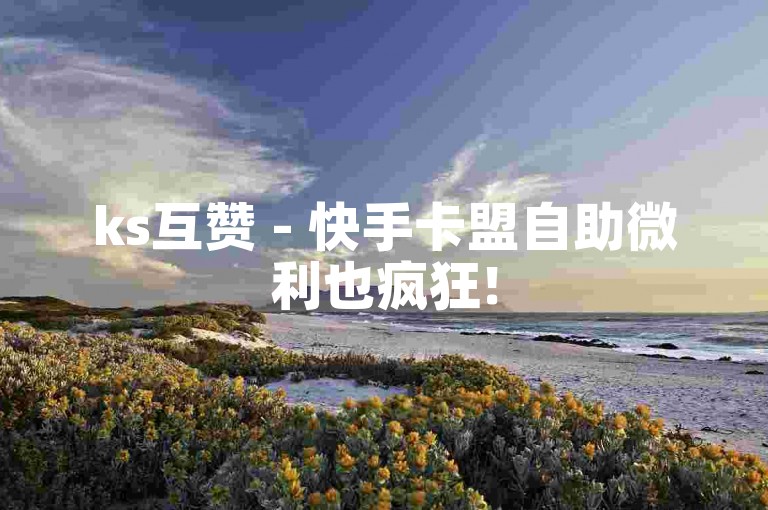 ks互赞 - 快手卡盟自助微利也疯狂!