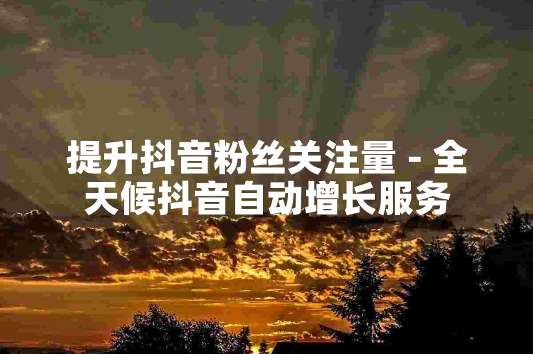 提升抖音粉丝关注量 - 全天候抖音自动增长服务
