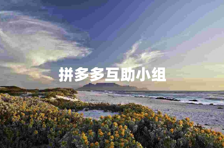 拼多多互助小组