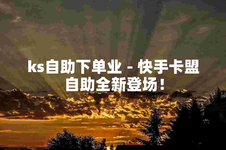 ks自助下单业 - 快手卡盟自助全新登场！