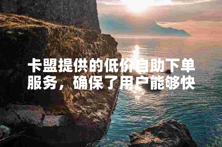 卡盟提供的低价自助下单服务，确保了用户能够快速便捷地完成购买，实现秒到的高效体验。