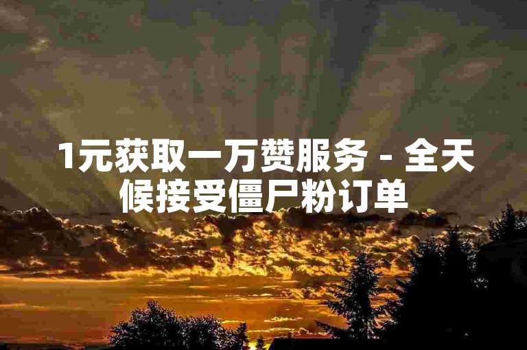 1元获取一万赞服务 - 全天候接受僵尸粉订单