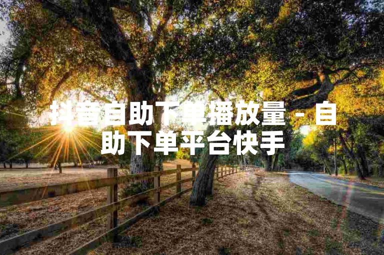 抖音自助下单播放量 - 自助下单平台快手