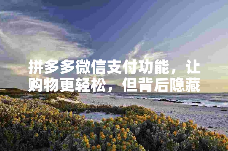 拼多多微信支付功能，让购物更轻松，但背后隐藏的风险你需要了解。