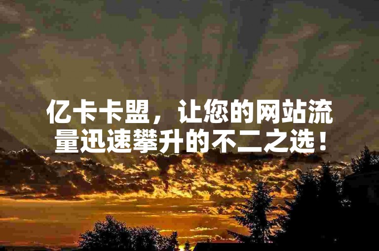 亿卡卡盟，让您的网站流量迅速攀升的不二之选！