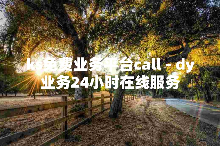 ks免费业务平台call - dy业务24小时在线服务