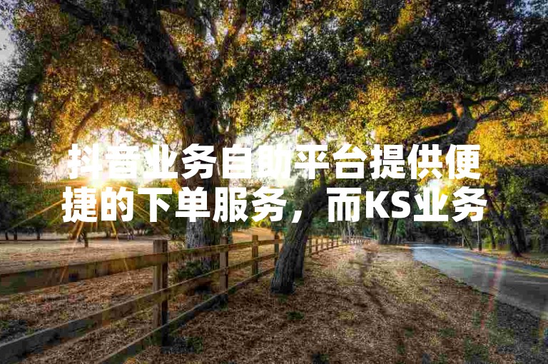 抖音业务自助平台提供便捷的下单服务，而KS业务则以低价自助下单科技吸引用户。