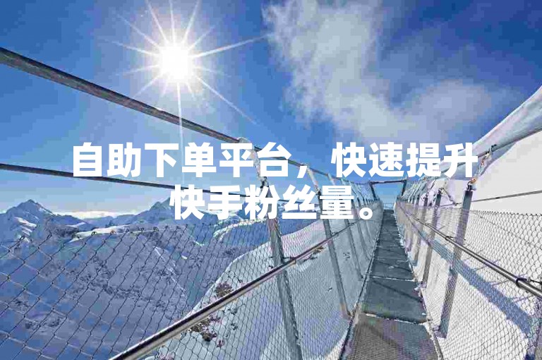 自助下单平台，快速提升快手粉丝量。