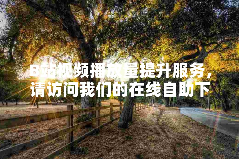 B站视频播放量提升服务，请访问我们的在线自助下单系统。
