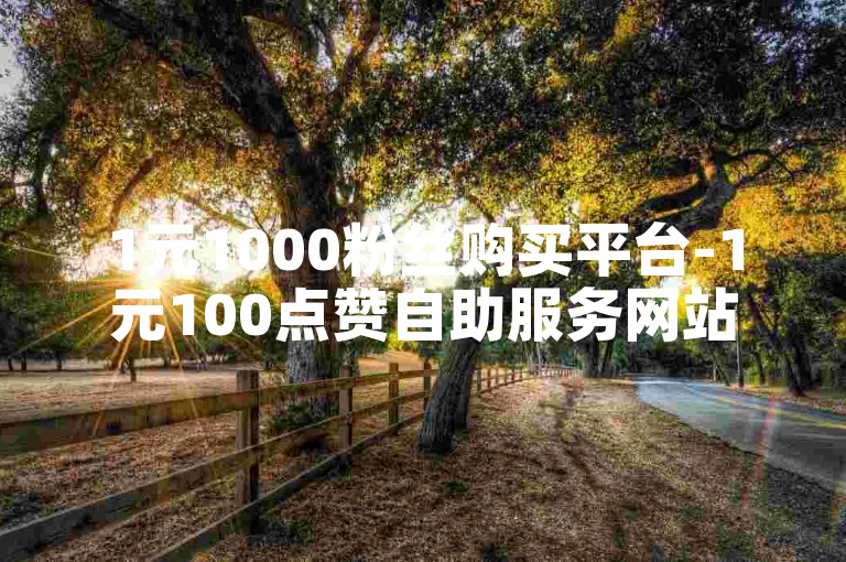 1元1000粉丝购买平台-1元100点赞自助服务网站