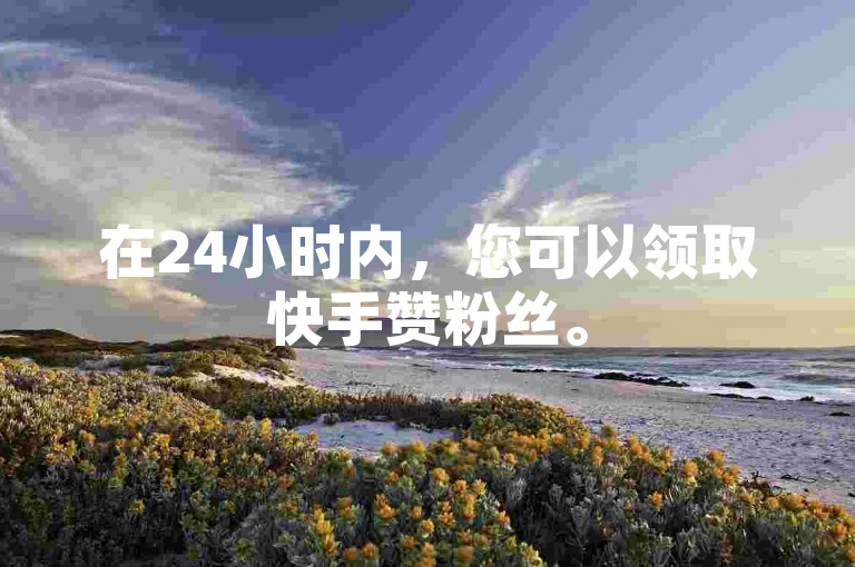 在24小时内，您可以领取快手赞粉丝。