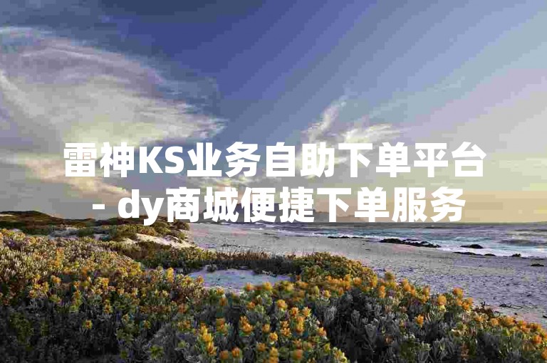 雷神KS业务自助下单平台 - dy商城便捷下单服务