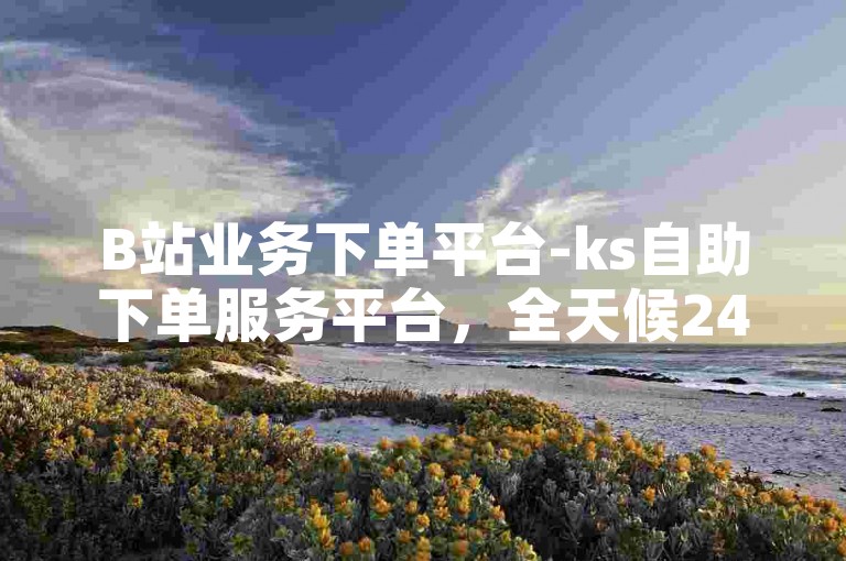 B站业务下单平台-ks自助下单服务平台，全天候24小时自助下单平台网站在线。