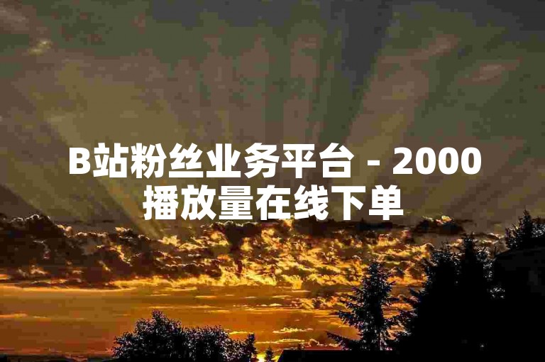 B站粉丝业务平台 - 2000播放量在线下单
