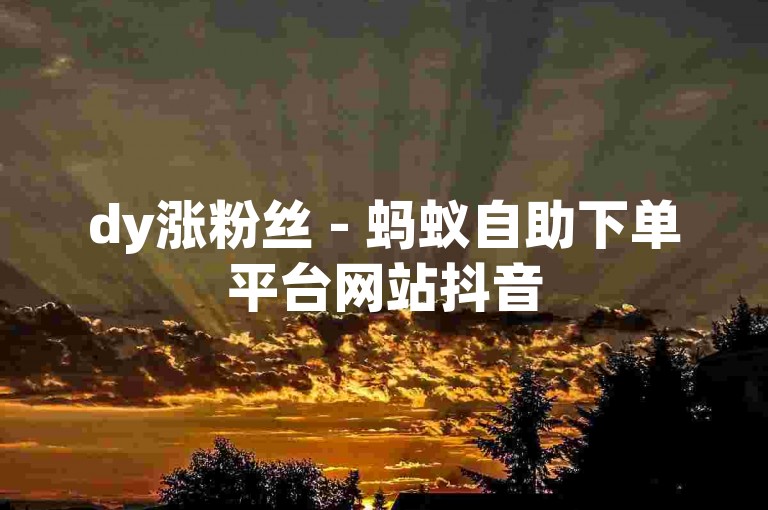 dy涨粉丝 - 蚂蚁自助下单平台网站抖音