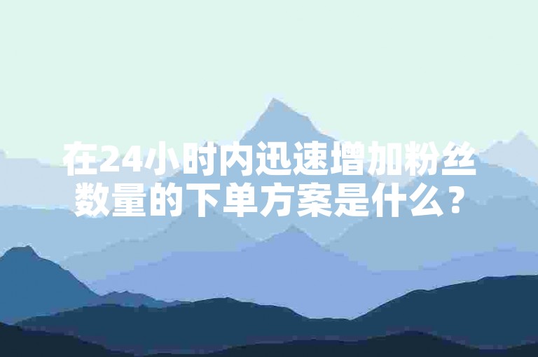 在24小时内迅速增加粉丝数量的下单方案是什么？
