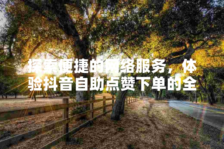 探索便捷的网络服务，体验抖音自助点赞下单的全新方式。