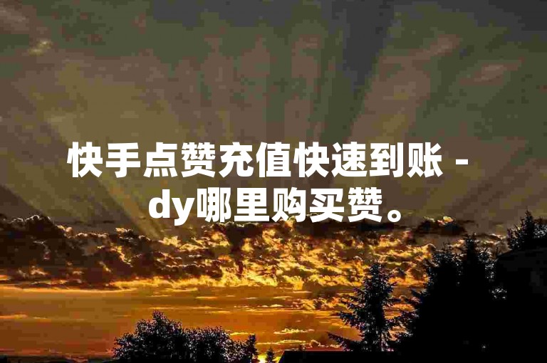快手点赞充值快速到账 - dy哪里购买赞。