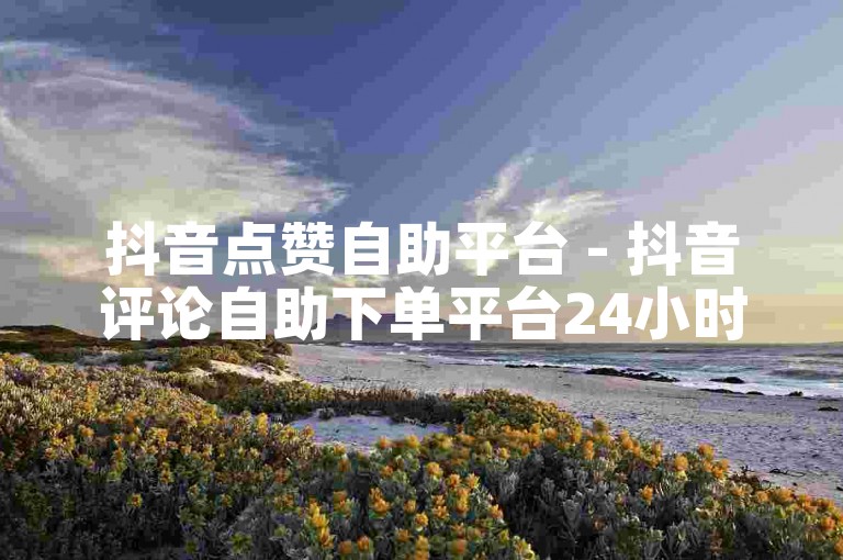 抖音点赞自助平台 - 抖音评论自助下单平台24小时