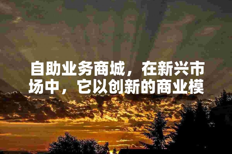 自助业务商城，在新兴市场中，它以创新的商业模式和卓越的用户体验脱颖而出。
